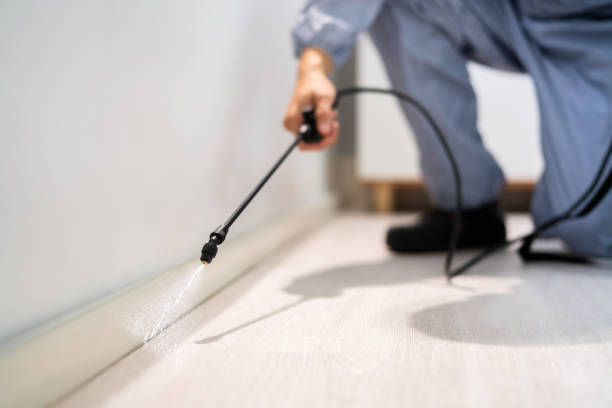 Licensed Pest Control service in Wisconsin Rapids, WI - Show Me Pest Control