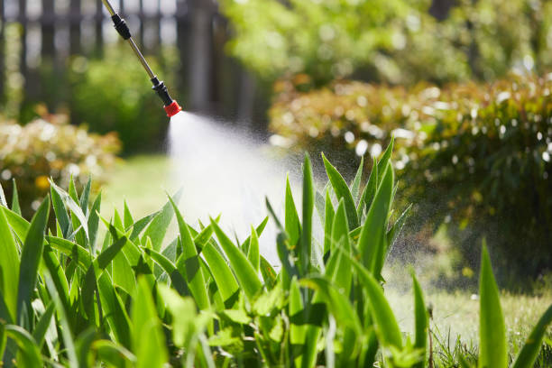 24/7 Emergency Mosquito Control experts in Wisconsin Rapids, WI