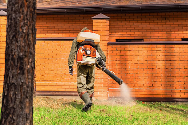 Top rated local Mosquito Control specialists in Wisconsin Rapids, WI